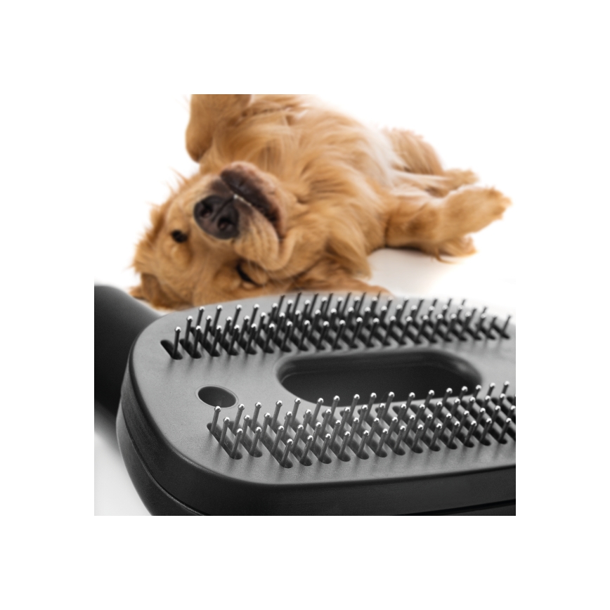 Concept VP5240N - Kotita tolmuimeja 4A RADICAL PET EXPERT 2,5 l 800W/230V pronks