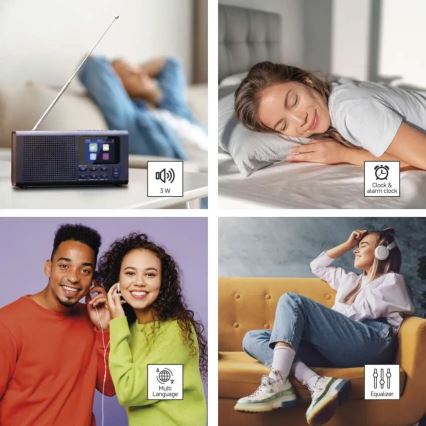 DAB DAB+ FM raadio 3W/5V/4xAA must värv
