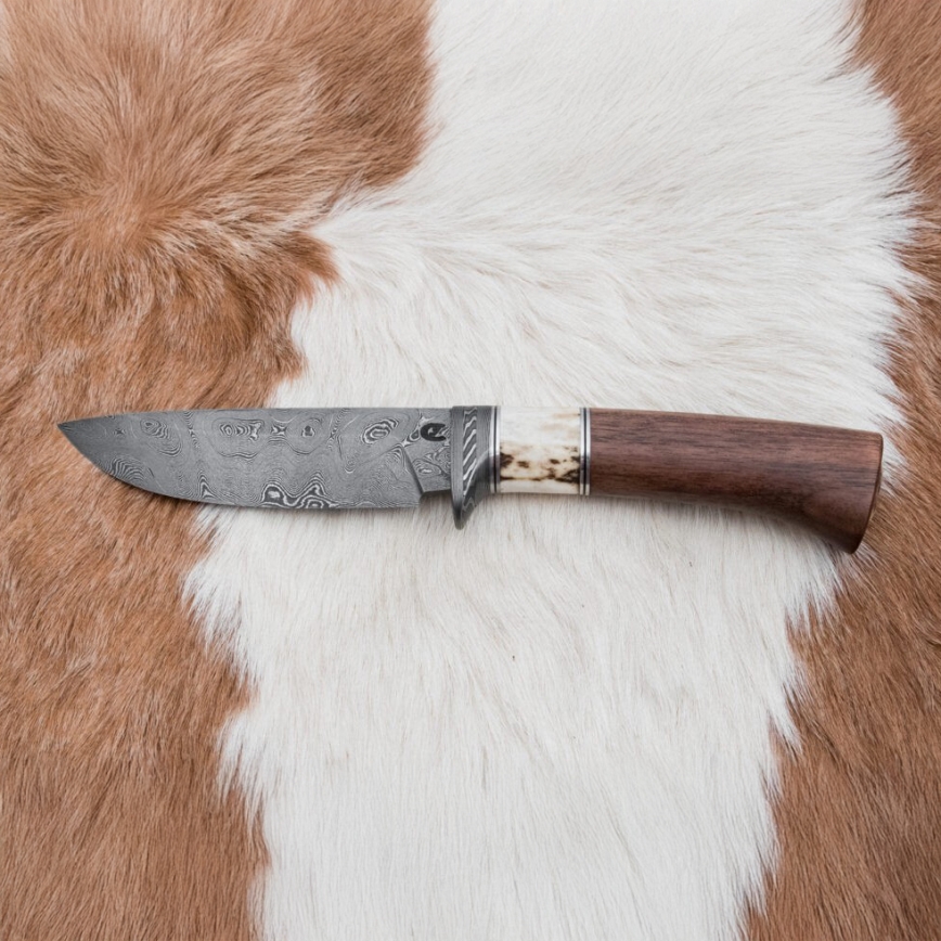 Damaskuse jahinuga 11,8 cm pähkel/hirve sarv