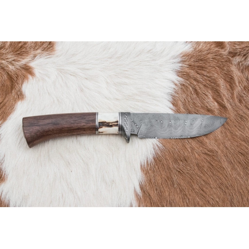 Damaskuse jahinuga 11,8 cm pähkel/hirve sarv