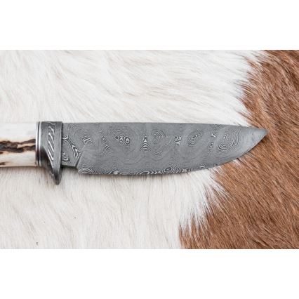 Damaskuse jahinuga 11,8 cm pähkel/hirve sarv