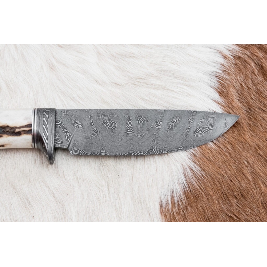 Damaskuse jahinuga 11,8 cm pähkel/hirve sarv