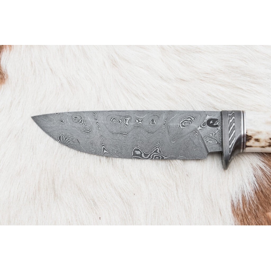 Damaskuse jahinuga 11,8 cm pähkel/hirve sarv