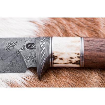Damaskuse jahinuga 11,8 cm pähkel/hirve sarv