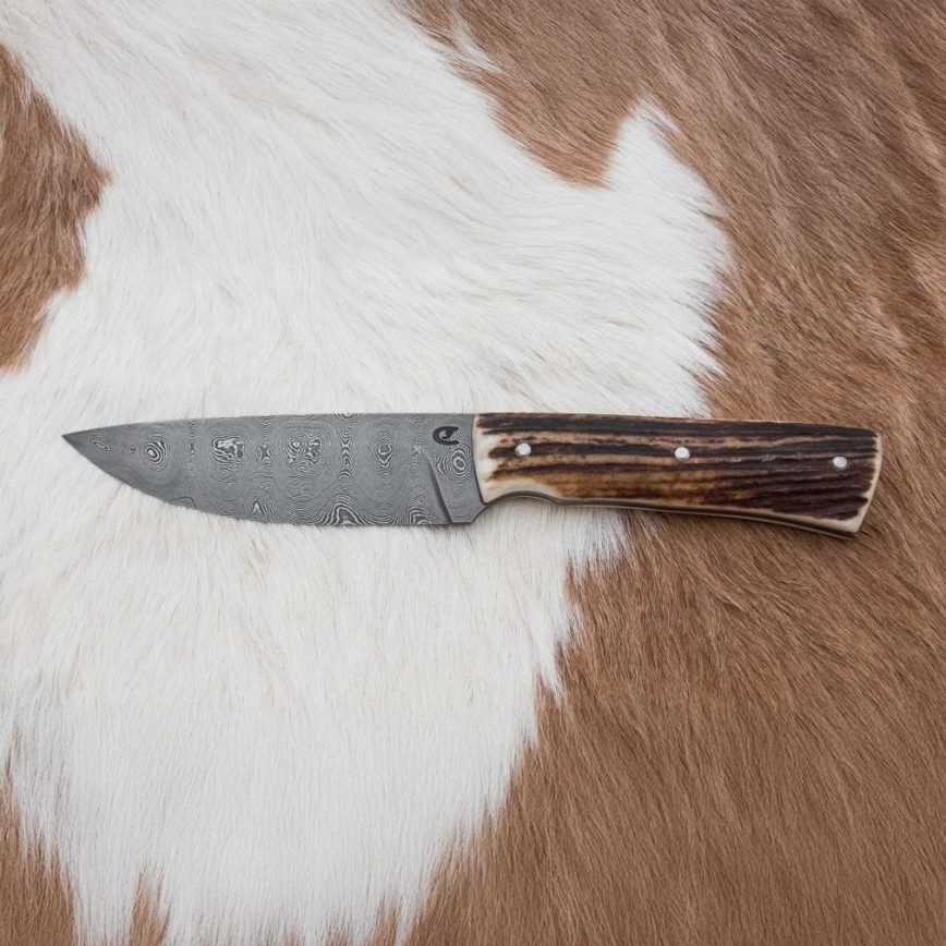 Damaskuse jahinuga 11 cm hirve sarv