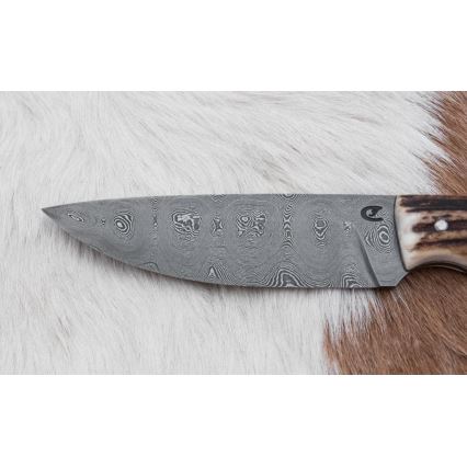Damaskuse jahinuga 11 cm hirve sarv
