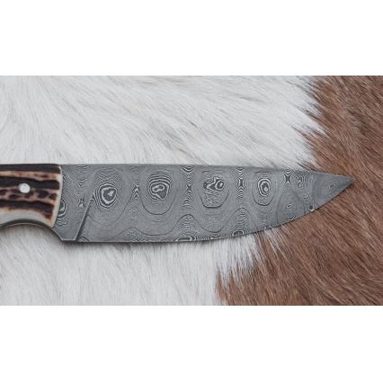 Damaskuse jahinuga 11 cm hirve sarv