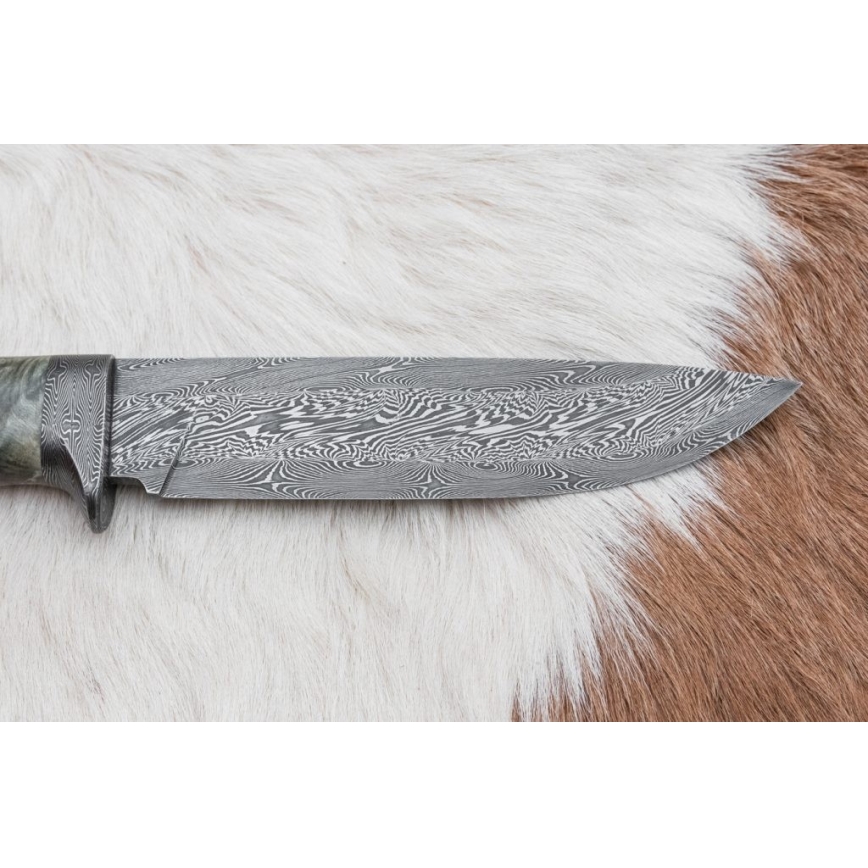 Damaskuse jahinuga 14 cm kastan