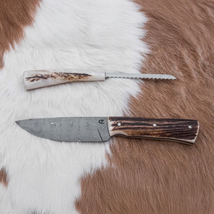 Damaskuse jahinuga minisaega 11 cm hirve sarv