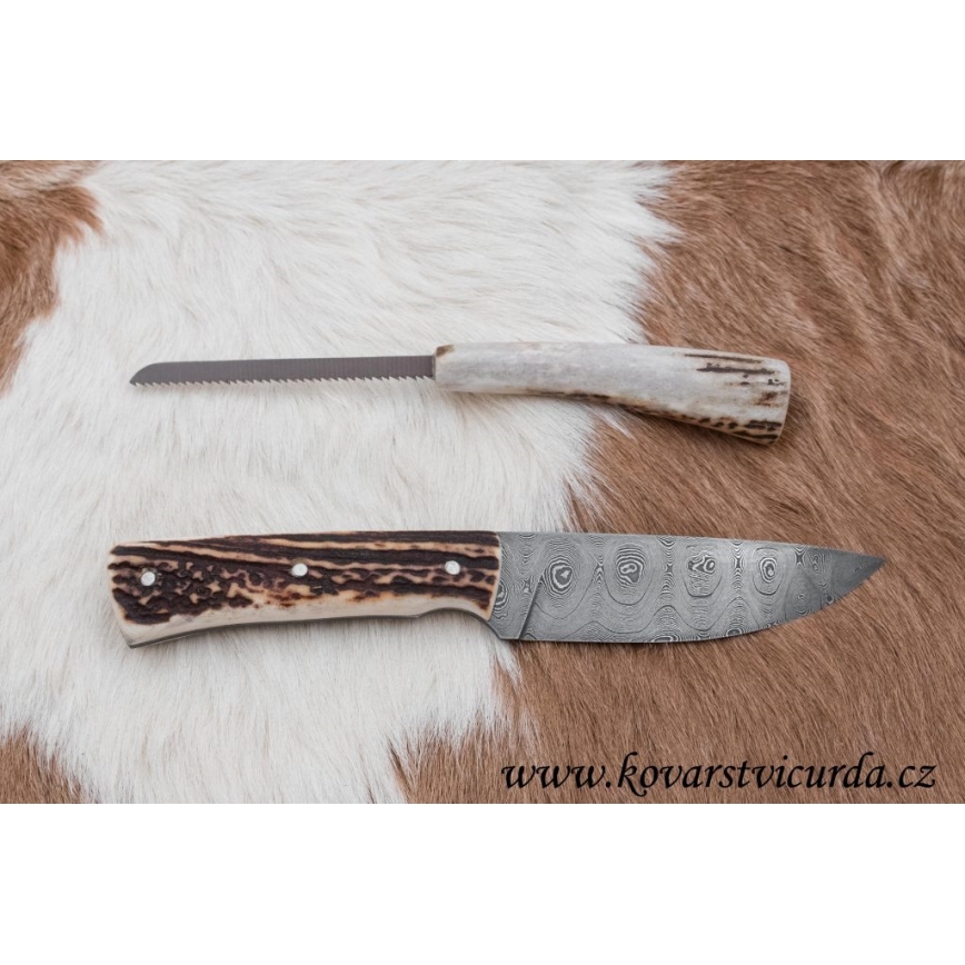 Damaskuse jahinuga minisaega 11 cm hirve sarv