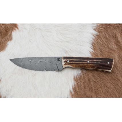 Damaskuse jahinuga minisaega 11 cm hirve sarv