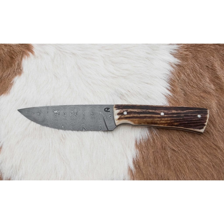 Damaskuse jahinuga minisaega 11 cm hirve sarv