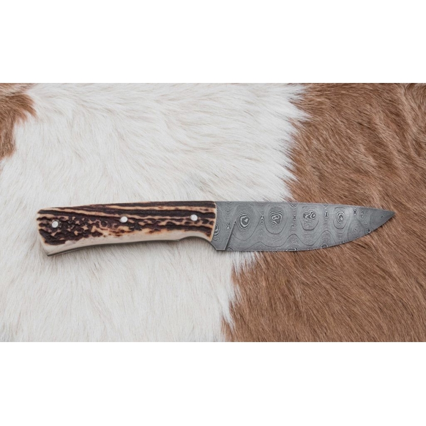 Damaskuse jahinuga minisaega 11 cm hirve sarv