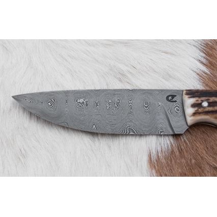 Damaskuse jahinuga minisaega 11 cm hirve sarv