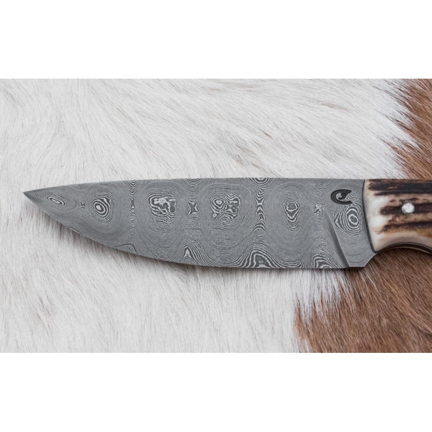 Damaskuse jahinuga minisaega 11 cm hirve sarv