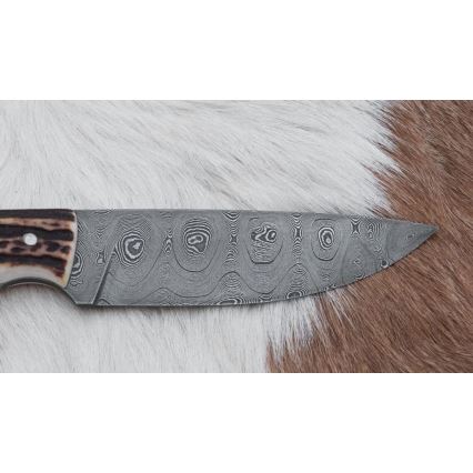 Damaskuse jahinuga minisaega 11 cm hirve sarv