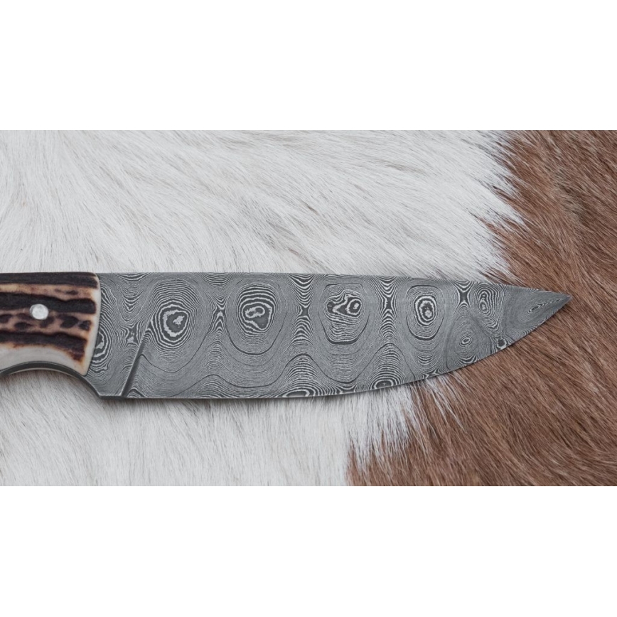 Damaskuse jahinuga minisaega 11 cm hirve sarv