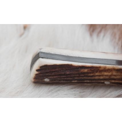 Damaskuse jahinuga minisaega 11 cm hirve sarv