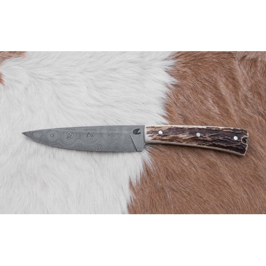 Damaskuse jahinuga minisaega 12 cm hirve sarv