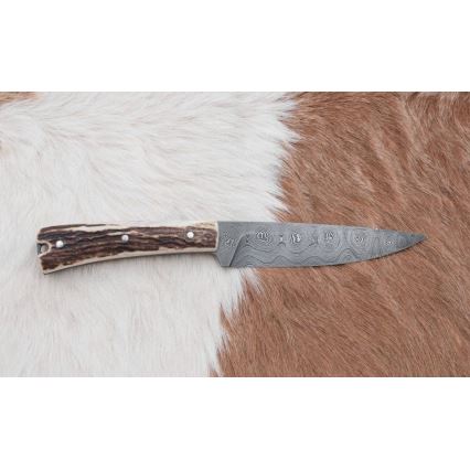 Damaskuse jahinuga minisaega 12 cm hirve sarv