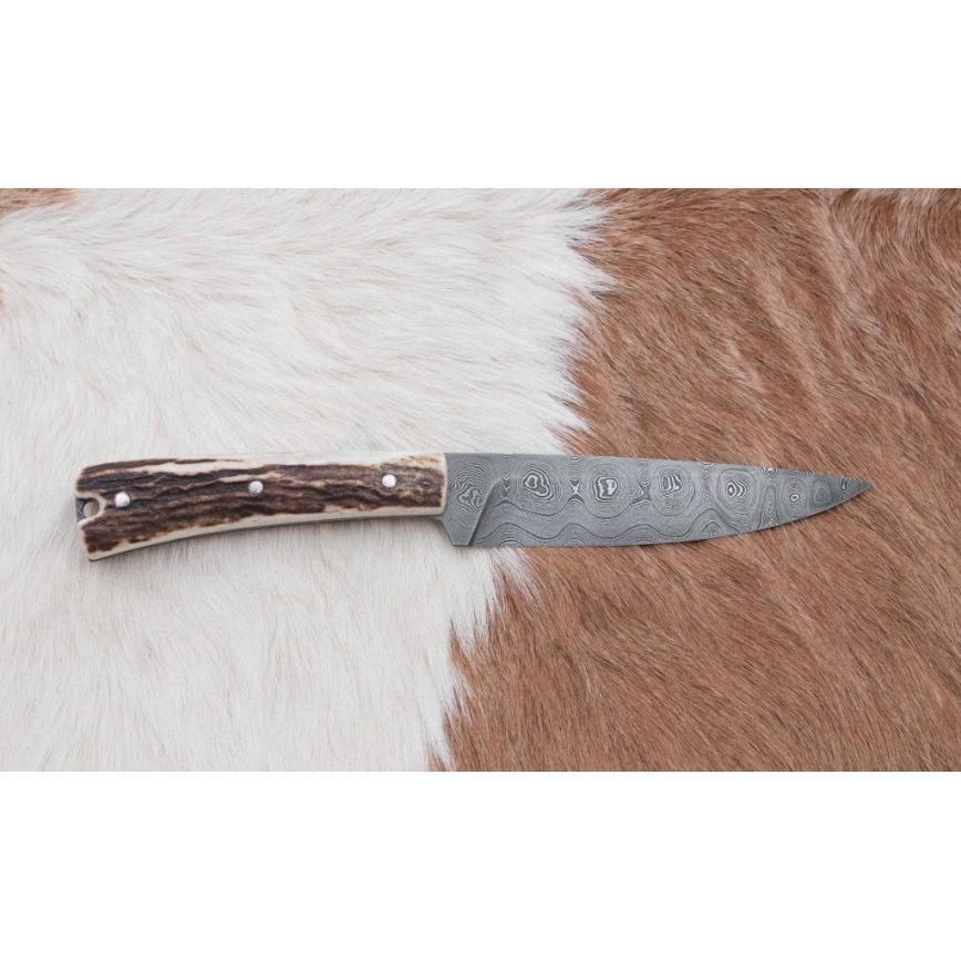 Damaskuse jahinuga minisaega 12 cm hirve sarv