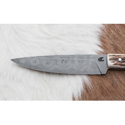 Damaskuse jahinuga minisaega 12 cm hirve sarv