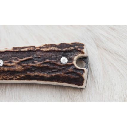 Damaskuse jahinuga minisaega 12 cm hirve sarv