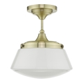 Där Lighting CAD0175 - Vannitoa pinnapealne lühter CADEN 1xE27/60W/230V IP44 messing