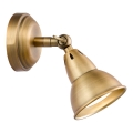 Där Lighting NAT0742 - Seinale kinnitatav suunatav valgusti NATHANIEL 1xGU10/11W/230V messing