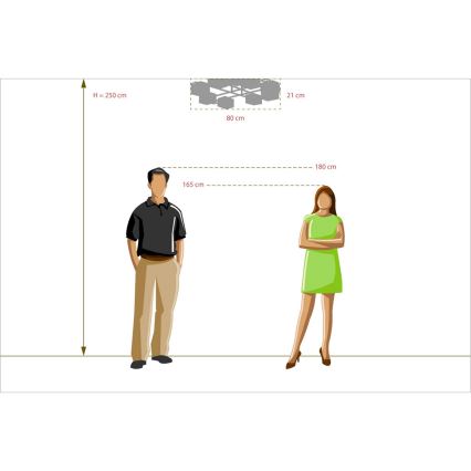 De Markt - Ripplühter ALPHA 8xE14/60W/230V