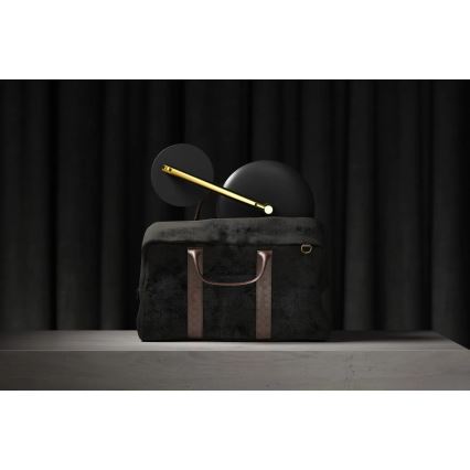 Deante ADI_Z812 - LED vannitoa laetav meigipeegel SILIA LED/5V 5000 mAh 2700-6500K IP44