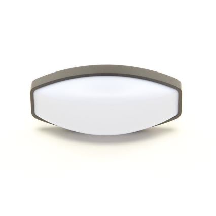 Deko-Light 731092 - LED Väli seinavalgusti ERIDANI LED/13W/230V IP44 antratsiit