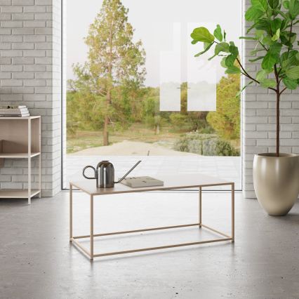 Diivanilaud SARON 100x50 cm hall
