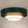 Duolla - LED Laevalgusti LUNETA LED/26W/230V d. 60 cm 4000K roheline/kuldne/valge