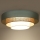 Duolla - LED Laevalgusti LUNETA LED/26W/230V d. 60 cm 4000K türkiis/beež/kreemikas