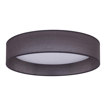 Duolla - LED Laevalgusti ROLLER LED/24W/230V d. 45 cm antratsiit