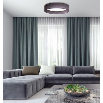 Duolla - LED Laevalgusti ROLLER LED/24W/230V d. 45 cm antratsiit