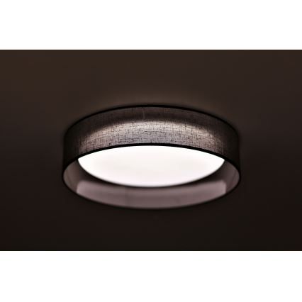 Duolla - LED Laevalgusti ROLLER LED/24W/230V d. 45 cm antratsiit