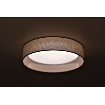 Duolla - LED Laevalgusti ROLLER LED/24W/230V d. 45 cm beež