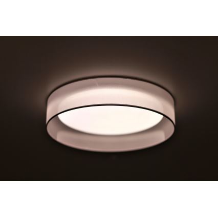 Duolla - LED Laevalgusti ROLLER LED/24W/230V d. 45 cm helehall