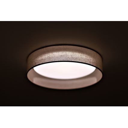 Duolla - LED Laevalgusti ROLLER LED/24W/230V d. 45 cm helehall
