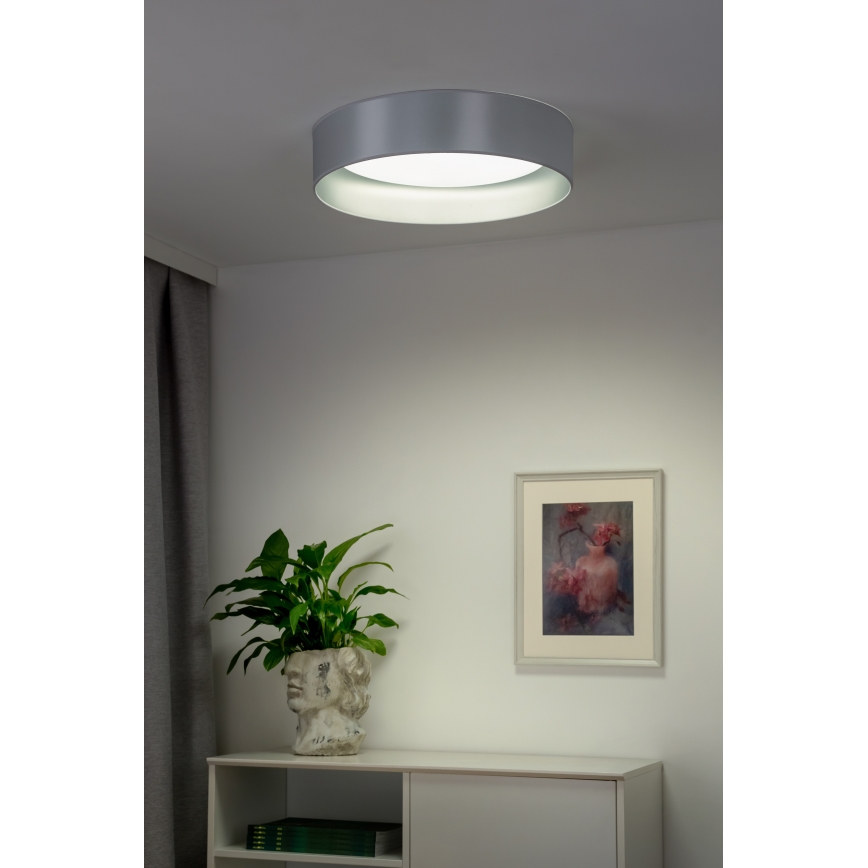 Duolla - LED Laevalgusti ROLLER LED/24W/230V d. 45 cm hõbedane