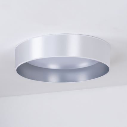 Duolla - LED Laevalgusti ROLLER LED/24W/230V d. 45 cm hõbedane
