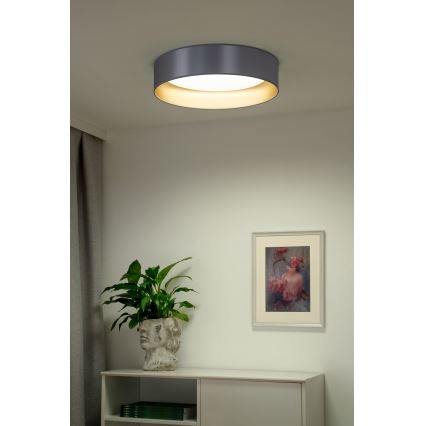 Duolla - LED Laevalgusti ROLLER LED/24W/230V d. 45 cm hõbedane/kuldne