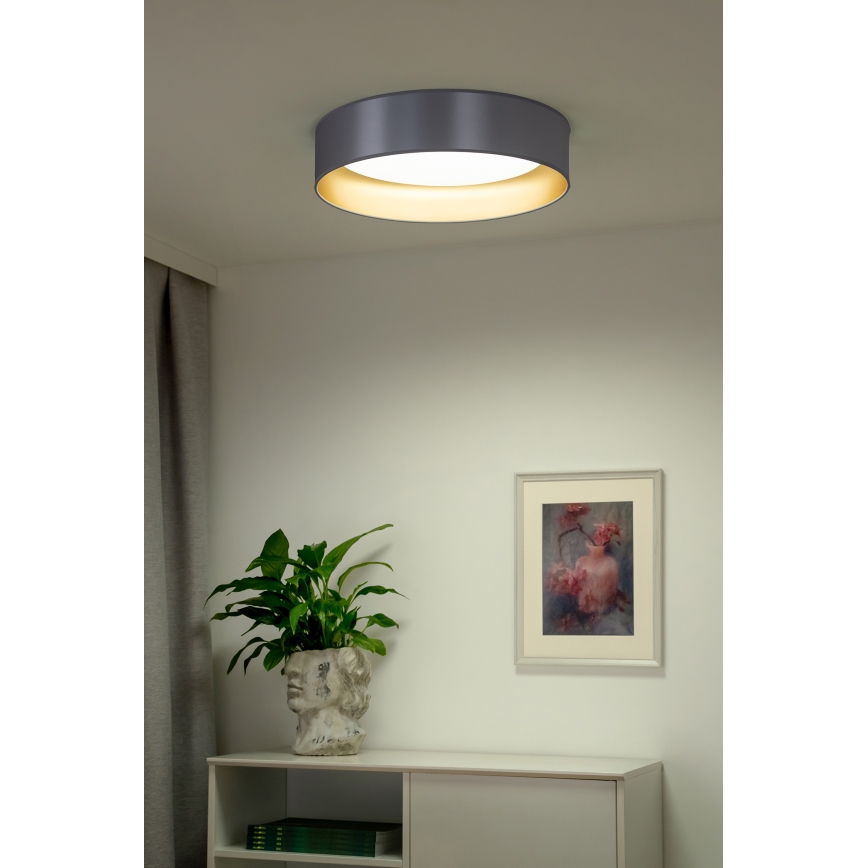 Duolla - LED Laevalgusti ROLLER LED/24W/230V d. 45 cm hõbedane/kuldne