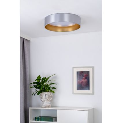 Duolla - LED Laevalgusti ROLLER LED/24W/230V d. 45 cm hõbedane/kuldne