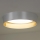 Duolla - LED Laevalgusti ROLLER LED/24W/230V d. 45 cm hõbedane/kuldne
