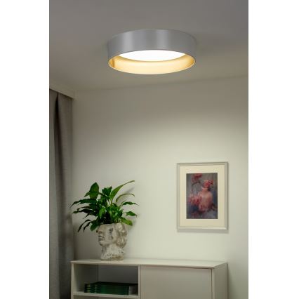 Duolla - LED Laevalgusti ROLLER LED/24W/230V d. 45 cm hõbedane/kuldne