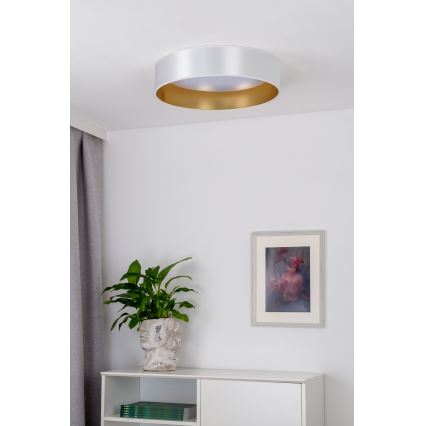 Duolla - LED Laevalgusti ROLLER LED/24W/230V d. 45 cm hõbedane/kuldne