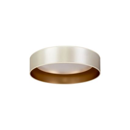 Duolla - LED Laevalgusti ROLLER LED/24W/230V d. 45 cm hõbedane/kuldne